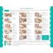 DipWell Nail Activator 0.5 fl oz - Step 3 for Dipping Powder Nails - Buy Online on GoSupps.com