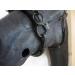 Buy PS Horse Articles Padded Anatomical French Cavesson with D-Rings - Cob Size Natural Color | International Shipping Available - Buy Online on GoSupps.com
