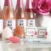 Trio Lip Care Set - Exfoliating Brush Lip Scrub & Moisturizing Balm for Chapped Lips - Ros Champagne - Buy Online on GoSupps.com