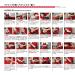 Swix Plexi Sharpener Red - Precision Ski and Snowboard Edge Tuning Tool - Buy Online on GoSupps.com