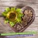 Castor Oil 50ml vegan - Natural serum for eyelashes and eyebrows but also for hair face body skin and hands - Buy Online on GoSupps.com