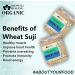 Blessfull Healing Organice Wheat Suji for Breakfast 2 lb (907 Gram) - Buy Online on GoSupps.com
