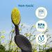 RADIUS Flex Soft Bristles Toothbrush - BPA Free, ADA Accepted - Improve Gum Health - Right Hand - Assorted Colors - Pack of 6 - Buy Online on GoSupps.com