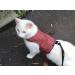 Mynwood Cat Jacket/Harness Royal Stewart Tartan Adult Cat - Buy Online on GoSupps.com