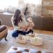 NaturalCozy 3-Piece Oval Storage Basket Set - Natural Woven Baskets for Storage and Gifting - Ideal for Nursery, Pets, and Home Organization - Off White - Buy Online on GoSupps.com
