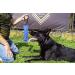 Dingo Gear Cotton Nylon Bite Sausage for Dog Training | IGP IPO Obedience & Protection | 28x7 cm Blue | Durable Dog Sport Equipment - Buy Online on GoSupps.com