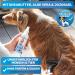 Bluepet De-Filzing Spray for Dogs & Cats - Anti-Felt Fur Care Made in Germany | Aloe Vera Shea Butter & Jojoba Oil for Knot and Tangle Removal - Buy Online on GoSupps.com