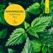 Schoenenberger Nettle Plant Juice - 200ml | Organic Herbal Supplement | Boost Immunity & Detoxify - Buy Online on GoSupps.com