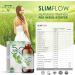SLIMFLOW50 Detox Cure - 50 Doses 1000ml | Best Detoxification with Bromelain | Liver Detox Fast Shipping Internationally - Buy Online on GoSupps.com