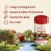 Old Spice Dry Feel Antiperspirant Deodorant for Men 24/7 Long Lasting Freshness 24/7 Sweat & Odor Protection Gentle on Skin with Skin Conditioners Orchard with Apple & Hops Water Scent 2.6 oz - Buy Online on GoSupps.com