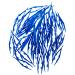 Bulk Priced Plastic Blue Forceps (Tapered Tweezers) from PrimeMed (125 Count)