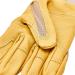 Petzl CORDEX Lightweight Climbing Gloves - X-Small (1 Pack, Tan) - Buy Online on GoSupps.com