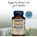 Buy Wiley's Finest Wild Alaskan Fish Oil Peak EPA 1000 mg - 30 Softgels | Omega-3 Supplement - Buy Online on GoSupps.com