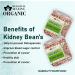Blessfull Healing Organice Kidney Beans 1 lb (453 Gram) - Buy Online on GoSupps.com