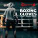 Champs MMA Gloves - Breathable UFC Gloves for Men and Women with Superior Wrist Support - Padded Kickboxing, Boxing, and Muay Thai Fingerless Gloves - 8oz Black - Buy Online on GoSupps.com