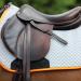 Equi-Flector Reflective Saddlecloth (17"-18" Orange) - Buy Online on GoSupps.com