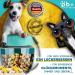 NEW 3 Series Gift Set: 550ml Leak-Proof Dog Drinking Bottle with Feed Container & Toothbrush - Premium Travel Solution for Pets - Buy Online on GoSupps.com