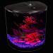 AquaView 3.5-Gallon Aquarium Starter Kit with Power Filter & LED Lighting - Ideal for Various Fish - 7 Color Selections - Buy Online on GoSupps.com