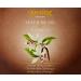 LAmpande Fragrant Body Cream with Hyaluronic Acid & Vitamin E - Nourishing Vanilla Scent 300ml - Moisturizing Antioxidant for Soft Skin - Buy Online on GoSupps.com
