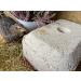 Buy Wachtelglck Gritstein - Premium Grit Stone for Quail Fast International Shipping - Buy Online on GoSupps.com