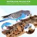 Buy Unique 100% Natural Cork Bird Seating Board - 20x10 cm Pent Bar for Budgies | High-Quality with Fastening Material & Free Nibble-Cork - International Shipping Available - Buy Online on GoSupps.com