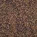 McCormick Black Pepper Can 6.00 Ounce - Buy Online on GoSupps.com