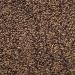 McCormick Pure Ground Black Pepper 3 oz - Premium Quality Spice - Buy Online on GoSupps.com