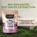 Longevity Botanicals 15 Mushroom Supplement Blend - Immune Support & Mental Clarity - 100g Powder - Buy Online on GoSupps.com