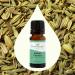 Buy Plant Therapy Sweet Fennel Essential Oil 10 mL - 100% Pure Undiluted Therapeutic Grade | International Shipping Available - Buy Online on GoSupps.com