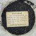 Pu-erh tea 2004 Yiwu Arbor Old Tree Tea 357gRaw - Buy Online on GoSupps.com