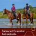 Vita Flex Pro E & Selenium Supplement for Horses - 4lb 64-Day Supply - Buy Online on GoSupps.com