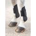 Shires Arma Tendon Boots Black Cob - Buy Online on GoSupps.com