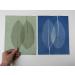Cyanotype 8 x 10 Paper 12 Pack - White | High Quality Sun Printing Paper - Buy Online on GoSupps.com