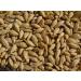 Barley 18 Lbs, Unhulled Barley (Hull Intact), Joseph's Grainery Whole Grain Barley, Non-GMO, Kosher Certified