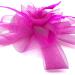 Hot Pink Fascinator Ladies Feather Beak Clip Fascinator / Headband Weddings Races Royal Ascot Hair Piece - Buy Online on GoSupps.com