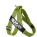Julius-K9 Belt Harness L/1 Neon-Grey | Durable Color & Gray Dog Harness for International Shipping - Buy Online on GoSupps.com