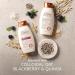 Aveeno Blackberry & Quinoa Strengthening Shampoo for Colour-Treated Hair Moisturizing Colour-Protecting 354 milliliters - Buy Online on GoSupps.com