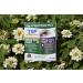 The Relief Products Allergy Eyes Relief Day Night Pack - Fast Relief for Allergy Symptoms - Buy Online on GoSupps.com