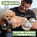 Wahl Lithium Ion Rechargeable Dog Nail Grinder with Rounding Tip and Nail Guard | 3 Hour Run Time - 5975 - Buy Online on GoSupps.com