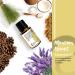 Rocky Mountain Oils Attention Assist Essential Oil Blend - Energizing Focus Oil | 15ml - International Shipping - Buy Online on GoSupps.com