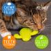 Pet Craft Supply Cactus Interactive Cat Toy - Bite Resistant Natural Rubber with Catnip & Silvervine Bags - Buy Online on GoSupps.com