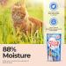 Ciao Churu Pops by INABA Cat Treat - Tuna Flavour (4 x 15g) / Moist & Chewy Cat Treat Delicious & Healthy Snack for Cats Hand Feeding Natural Grain Free High Moisture Tuna 15 g (Pack of 4) - Buy Online on GoSupps.com