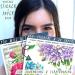 FAYWARE Washi Vintage Stickers and Papers - Botanical Ephemera for Scrapbooking and Journaling | 453 Stickers, 20 Papers | Forest Dreams - Buy Online on GoSupps.com