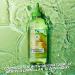Garnier Fructis Sleek & Shine Glass Hair Water - 10 Second Liquid Rinse Out for Shiny Hair - Buy Online on GoSupps.com