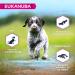 EUKANUBA Grain Free Dog Food Puppy & Junior Large Breeds Rich in Fish 12kg - Buy Online on GoSupps.com