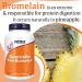 Now Foods Quercetin with Bromelain High Dose 240 Vegan Capsules | Lab-Tested, Soy-Free, Gluten-Free | Non-GMO, Vegetarian - Buy Online on GoSupps.com