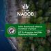 Nabob Breakfast Blend Coffee 100% Compostable Pods 117g (6 Boxes of 12 Pods) - Buy Online on GoSupps.com