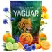 Yaguar Naranja Earl Grey Yerba Mat du Br sil 500 g Yerba Mat avec zeste d'orange et huile de bergamote Caf ine naturelle Contient des vitamines des min raux des antioxydants Go t quilibr e