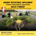 Inca's Gold Organic Black Maca Gelatinized Root Powder for Men - 170g | Boost Energy & Stamina | International Shipping Available - Buy Online on GoSupps.com