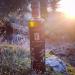 Agouros Mountain Extra Virgin Olive Oil Limited Edition - 500 - Buy Online on GoSupps.com